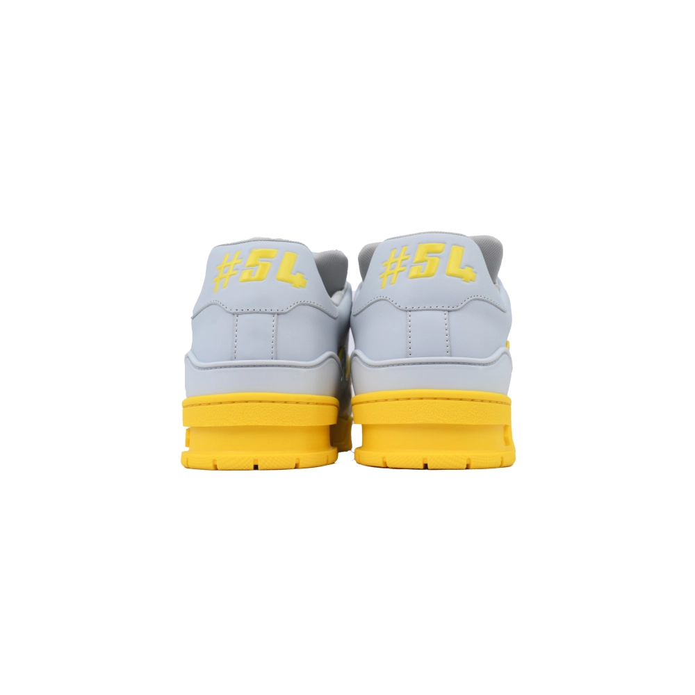 Louis Vuitton Trainer Grey Color Printing