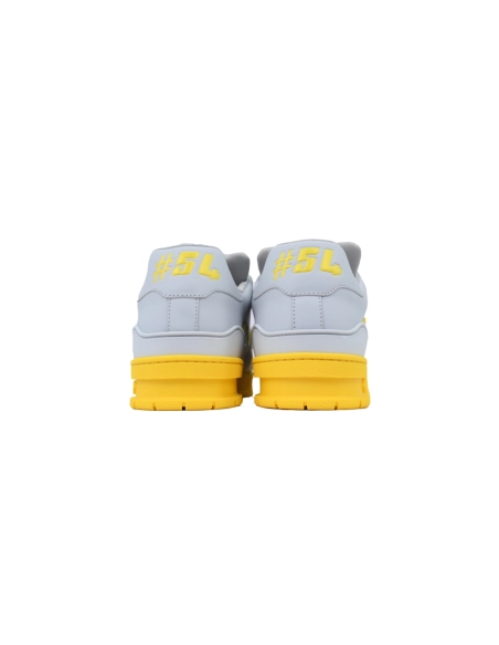 Louis Vuitton Trainer Grey Color Printing