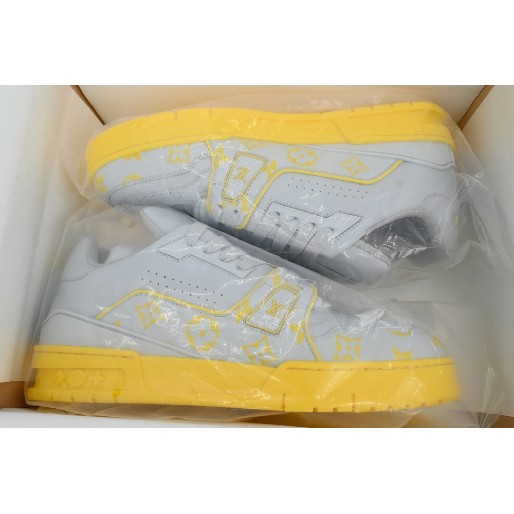 Louis Vuitton Trainer Grey Color Printing