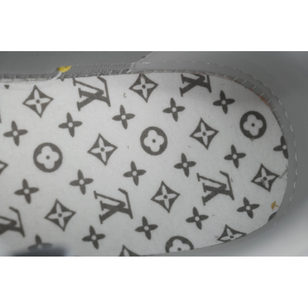 Louis Vuitton Trainer Grey Color Printing