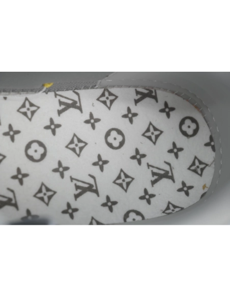 Louis Vuitton Trainer Grey Color Printing