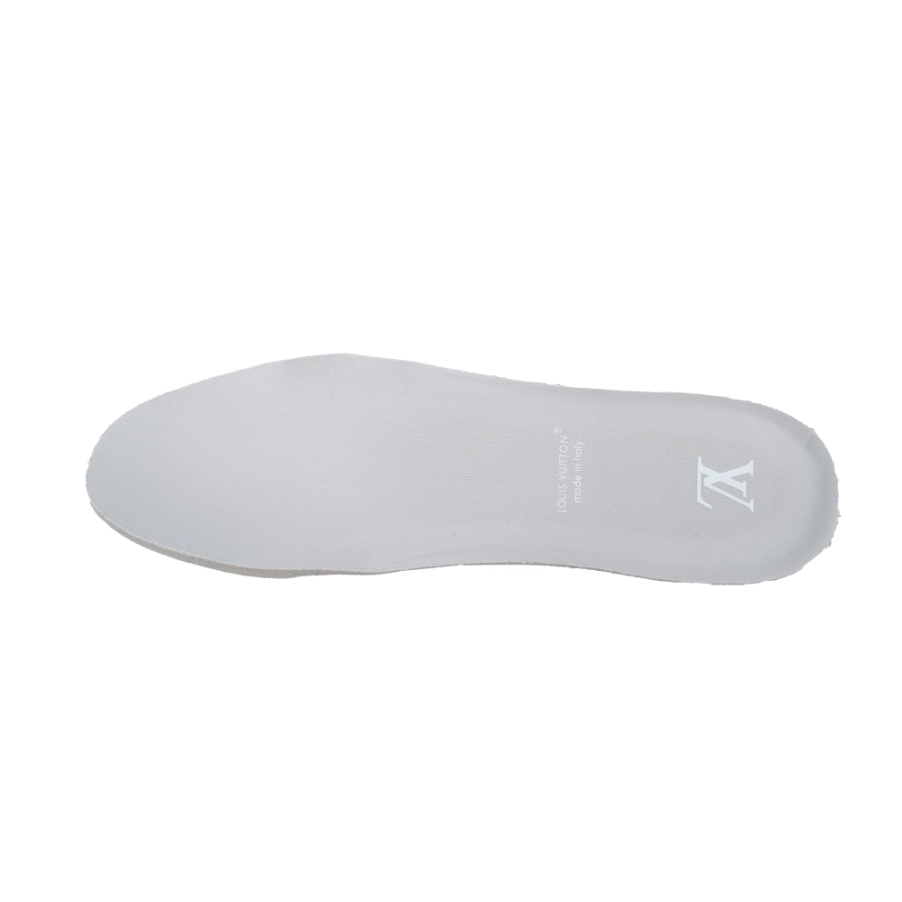 Louis Vuitton Trainer Grey Color Printing