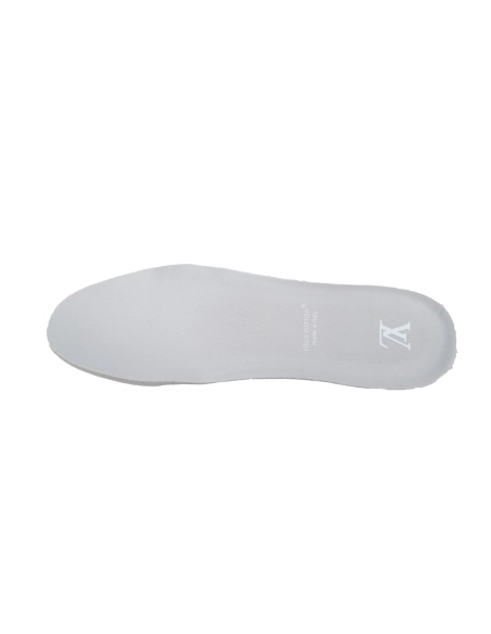 Louis Vuitton Trainer Grey Color Printing