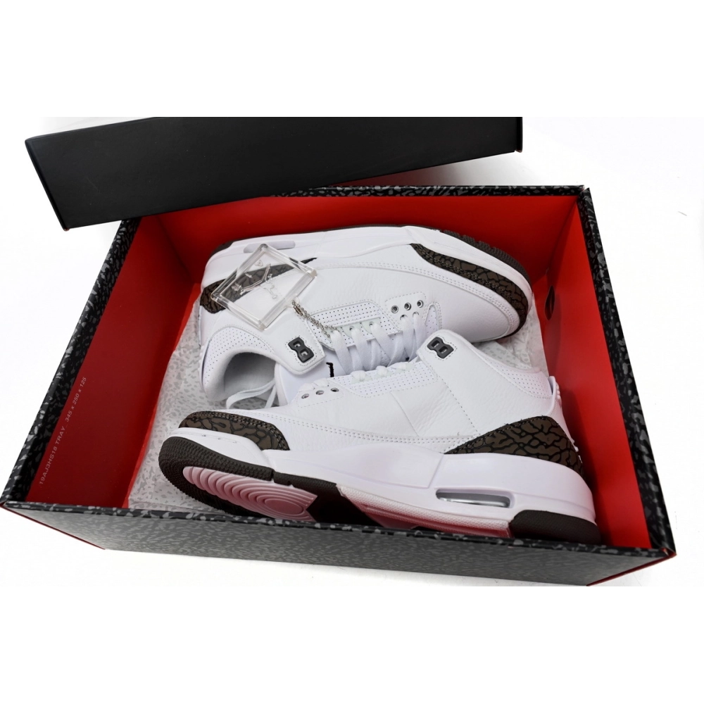 Air Jordan 3 Retro Mocha 136064-122
